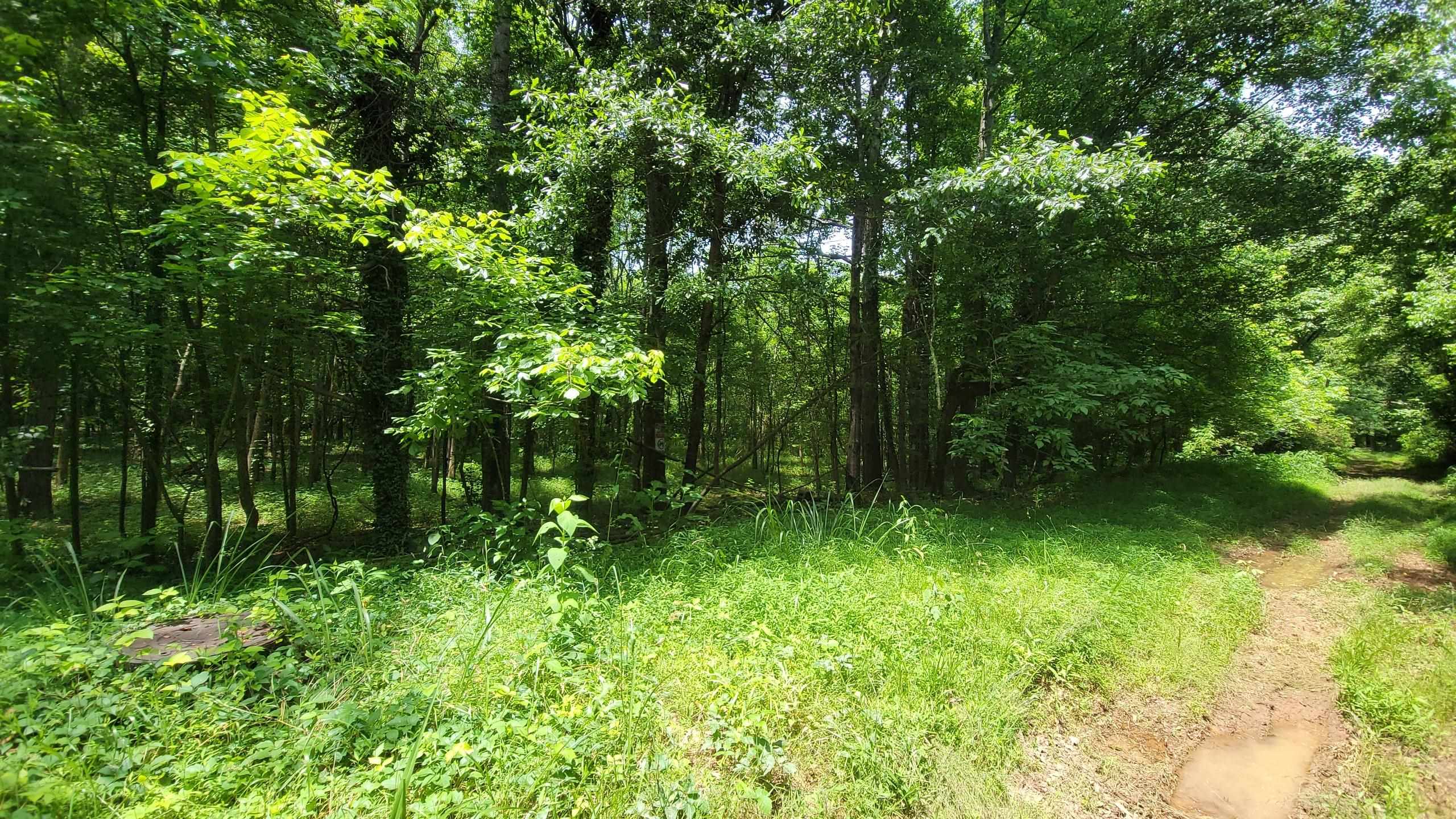 336986 Property Photo 1