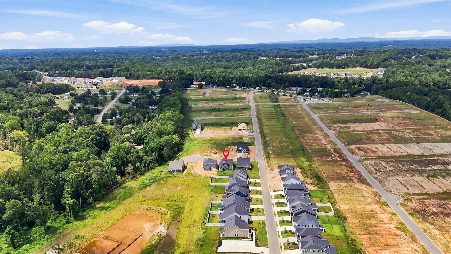 1005 Meadow Rue Court Property Photo 32