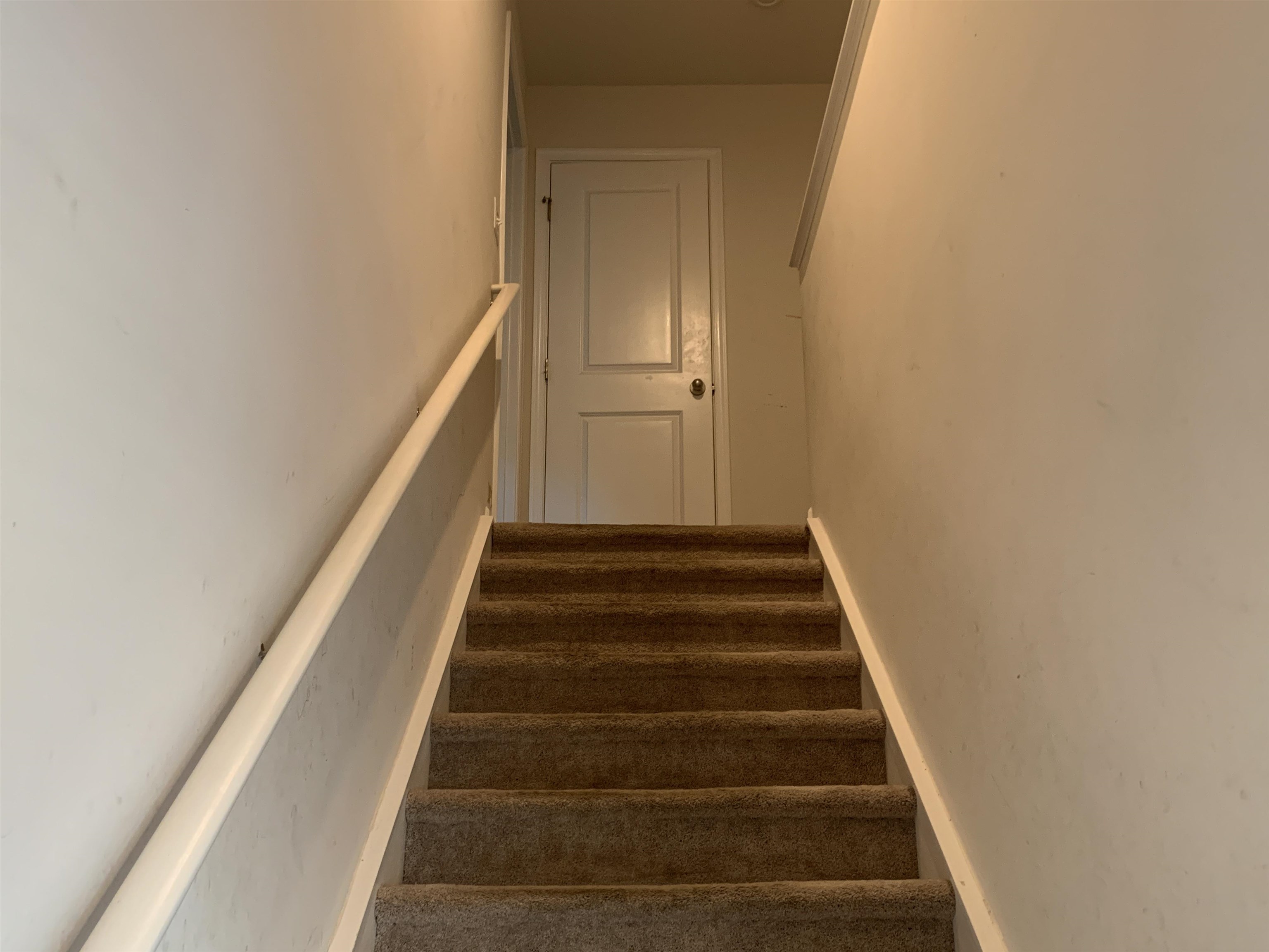 503 Heavenly Days Street Property Photo 9