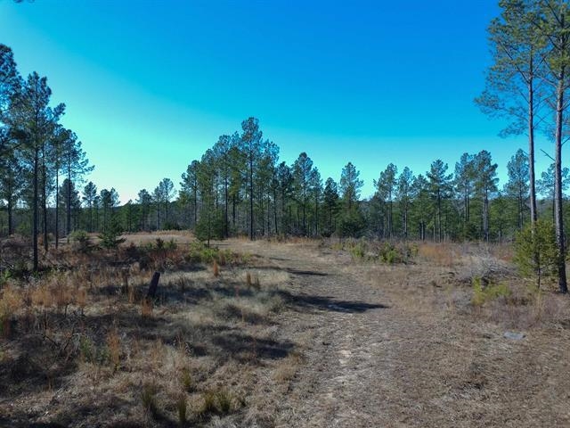 337116 Property Photo 2
