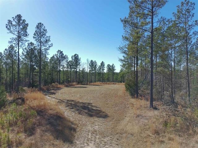 337116 Property Photo 3