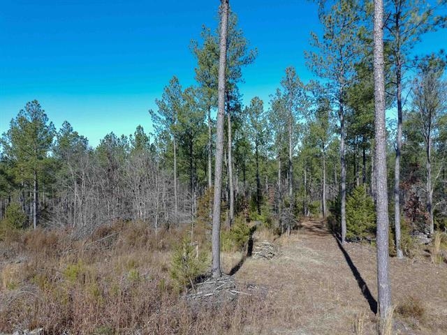 337116 Property Photo 4