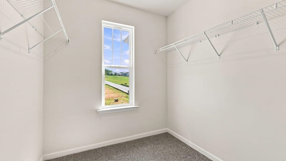 3457 Hunters Brook Drive Property Photo 29