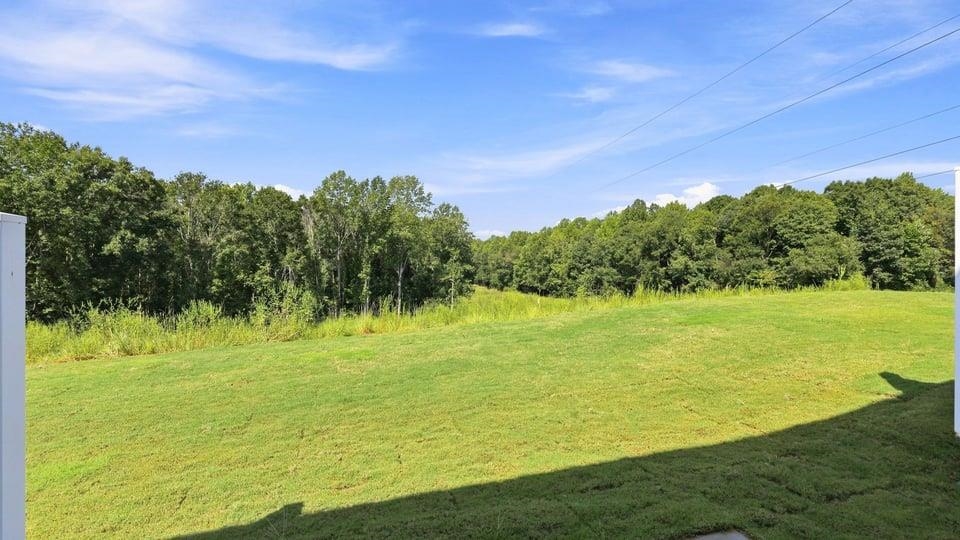 3457 Hunters Brook Drive Property Photo 33