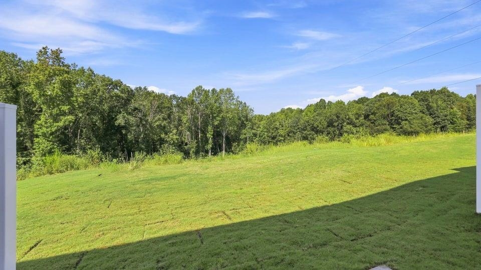 3453 Hunters Brook Drive Property Photo 36