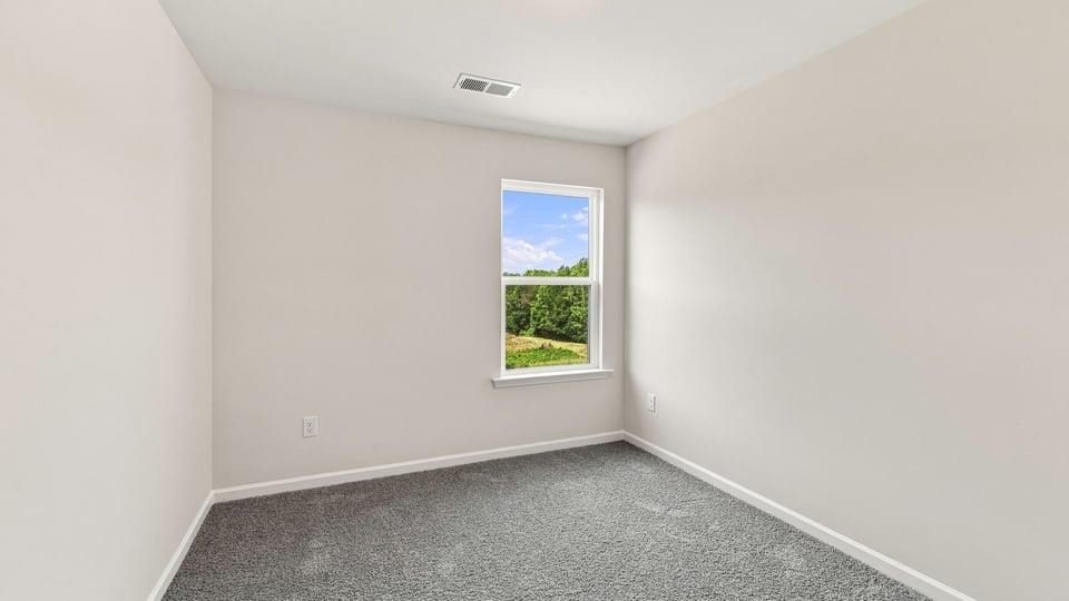 3455 Hunters Brook Drive Property Photo 21