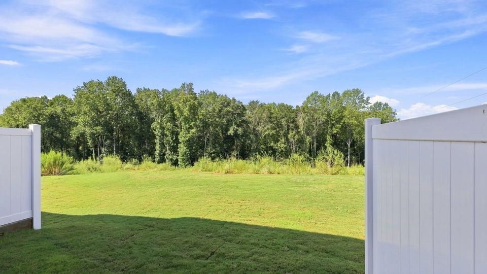 3455 Hunters Brook Drive Property Photo 38