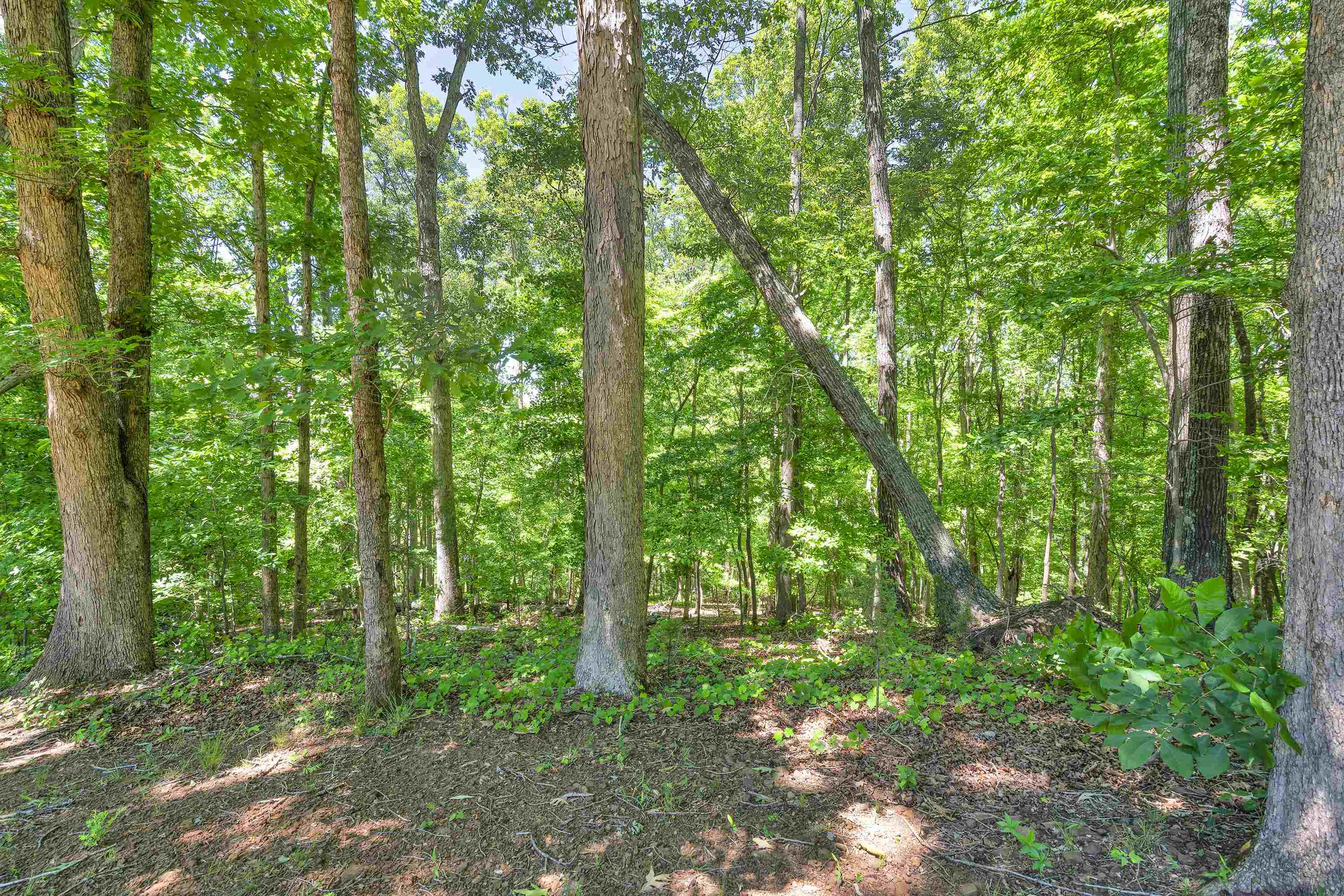 2561 Whitestone Road Property Photo 22