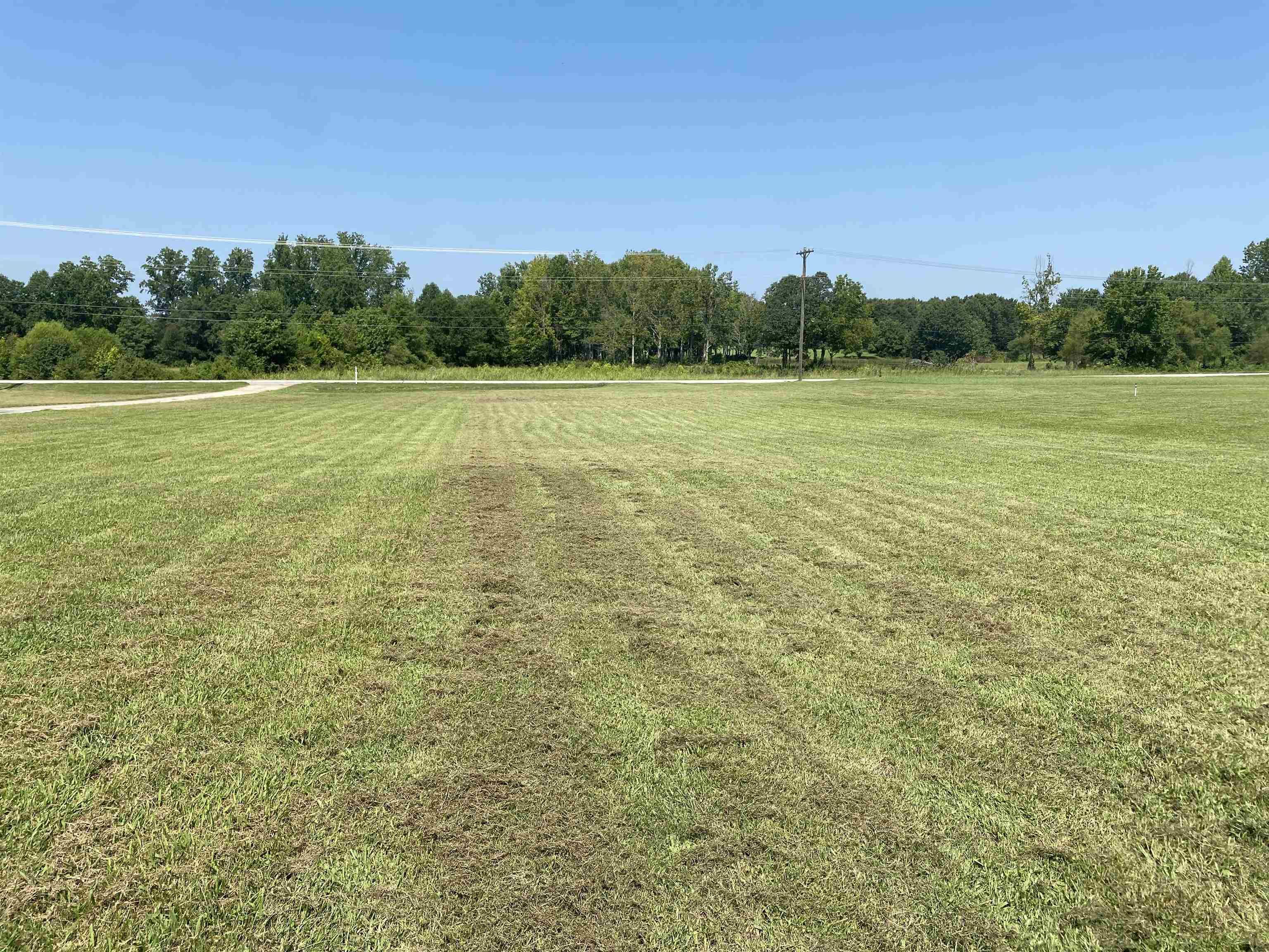 337425 Property Photo 5