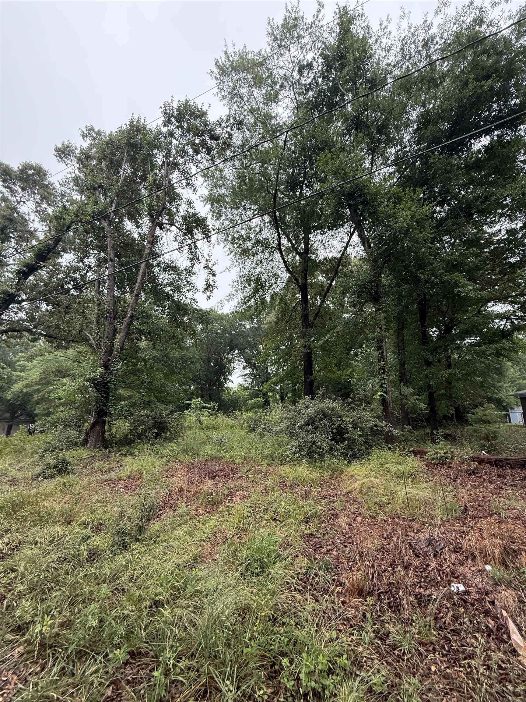 337515 Property Photo 3