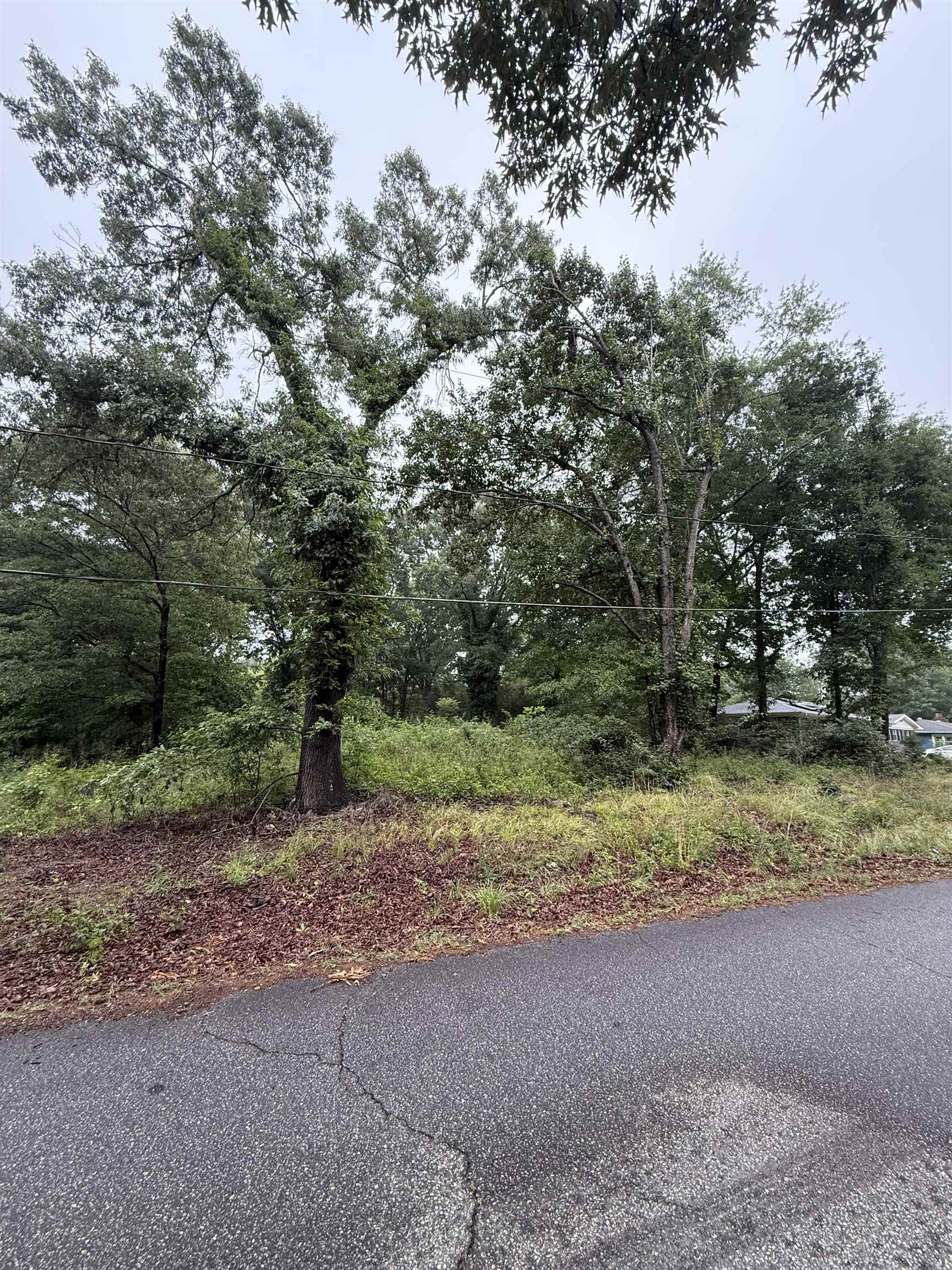 337515 Property Photo 5