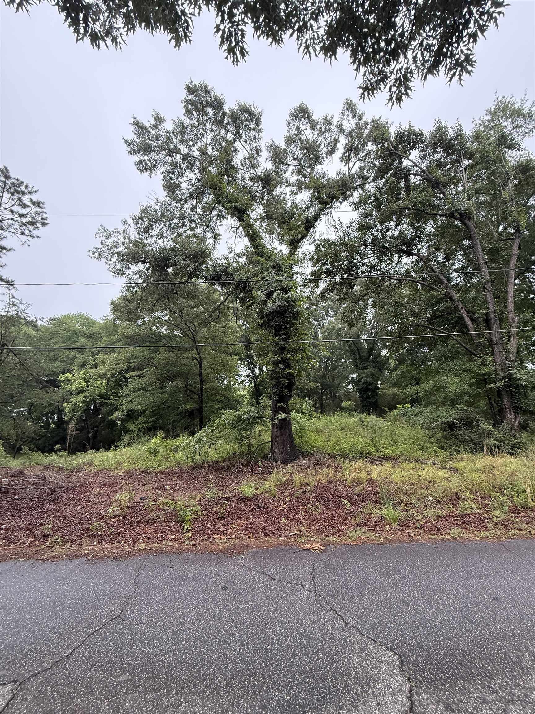337515 Property Photo 6