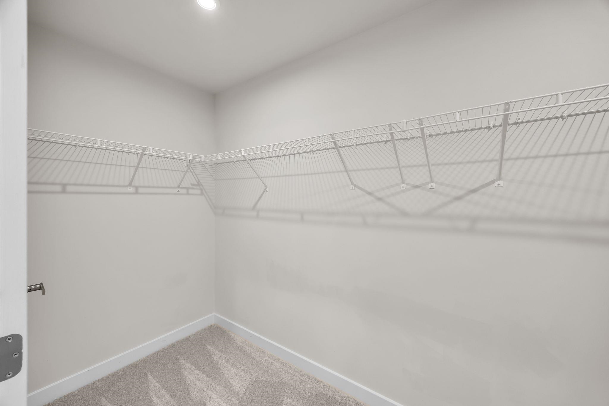 161 Southwell Street Property Photo 23