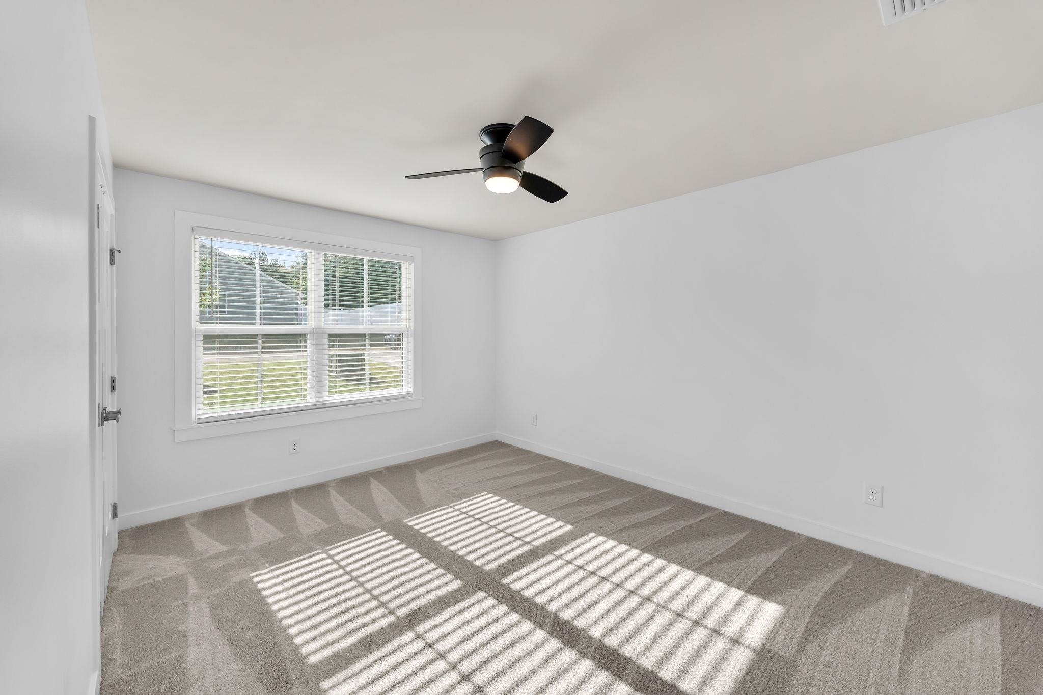 161 Southwell Street Property Photo 28