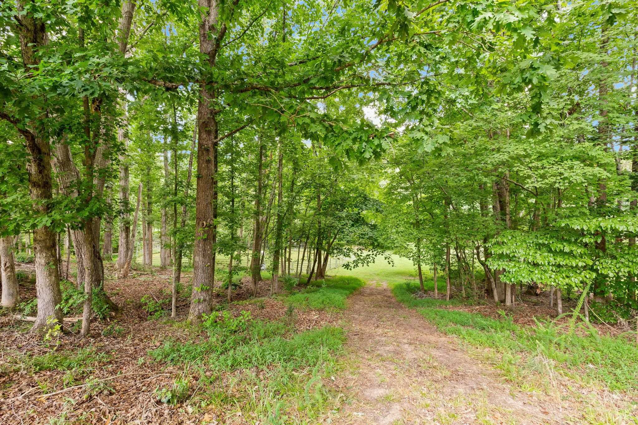 340 Harrison Road Property Photo 42