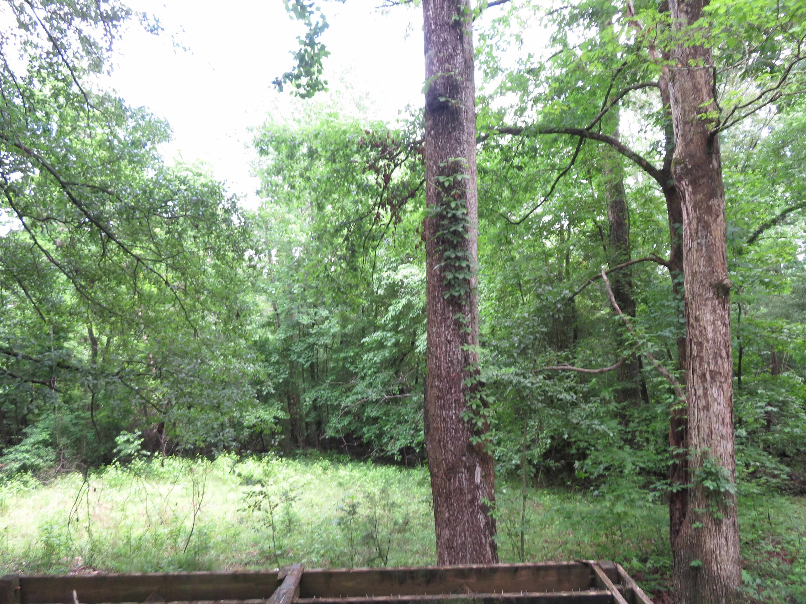 290 Triple H Farm Road Property Photo 21
