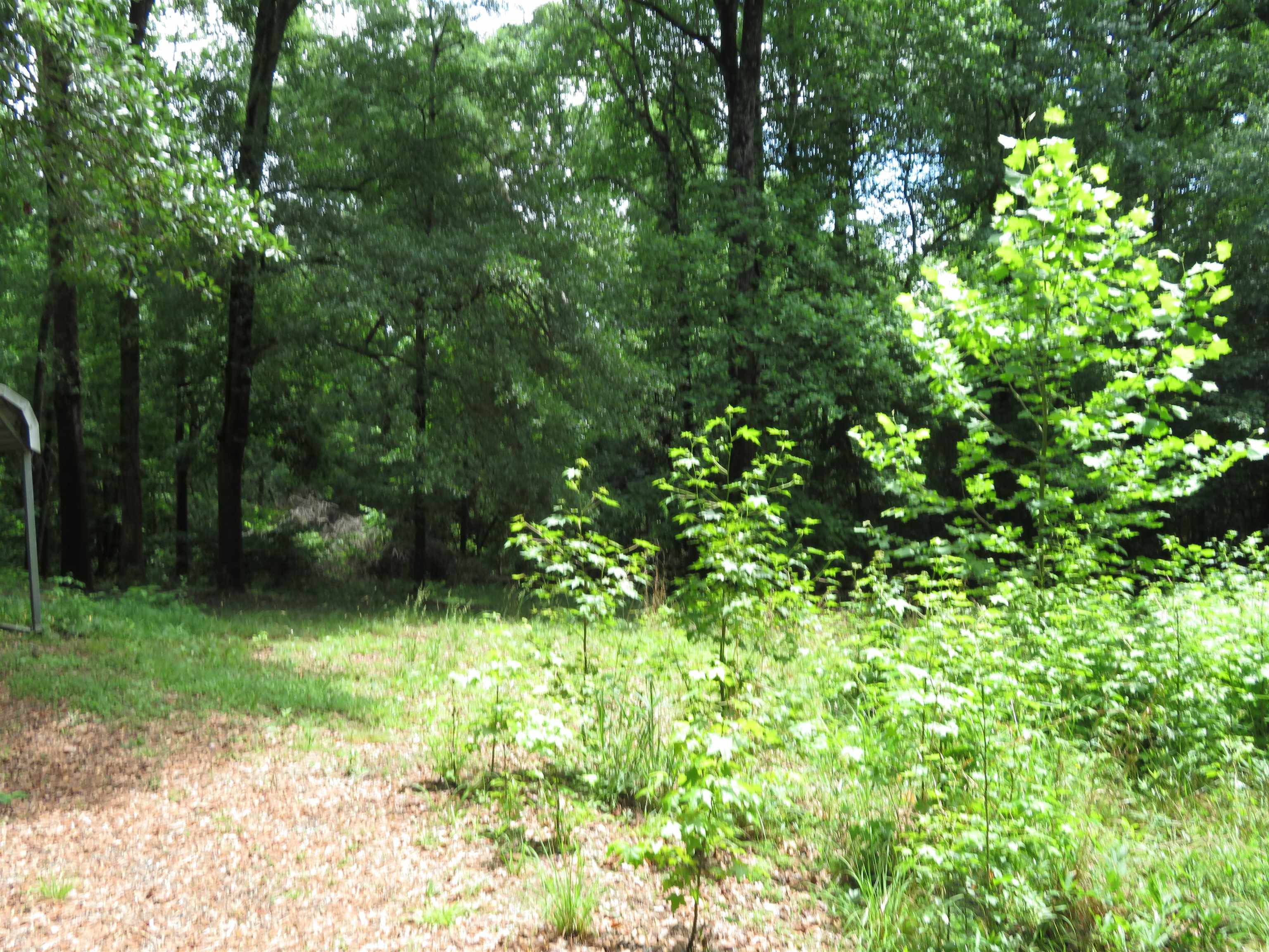 290 Triple H Farm Road Property Photo 22