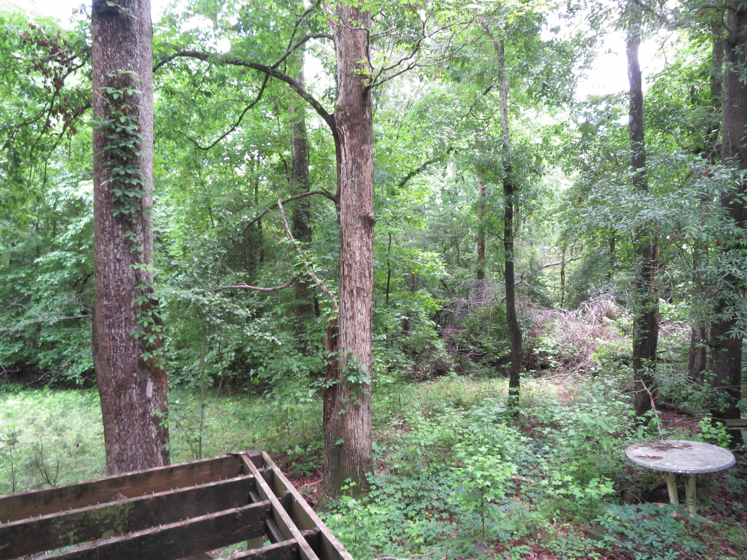 290 Triple H Farm Road Property Photo 23