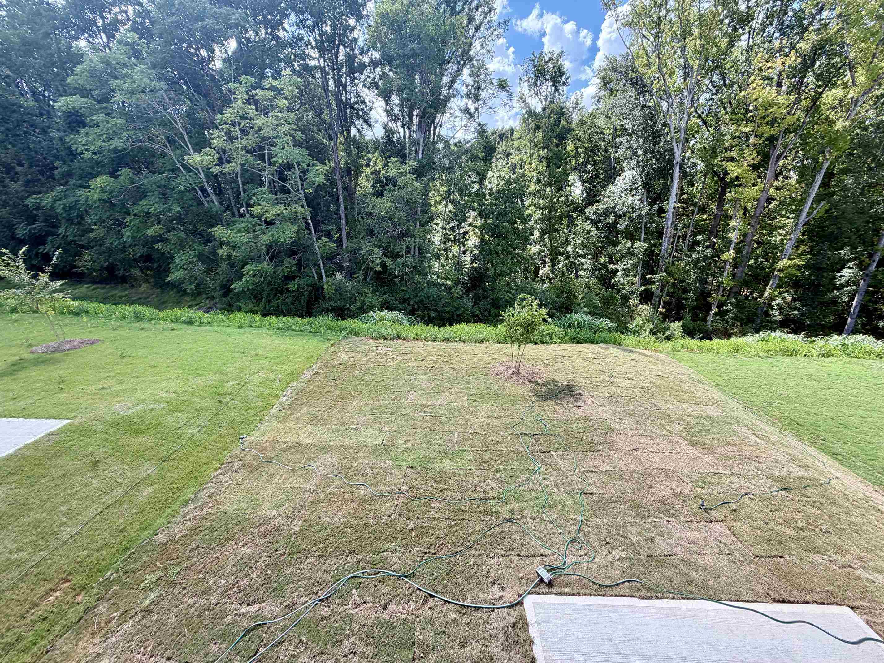 12131 Lansbury Drive Property Photo 16