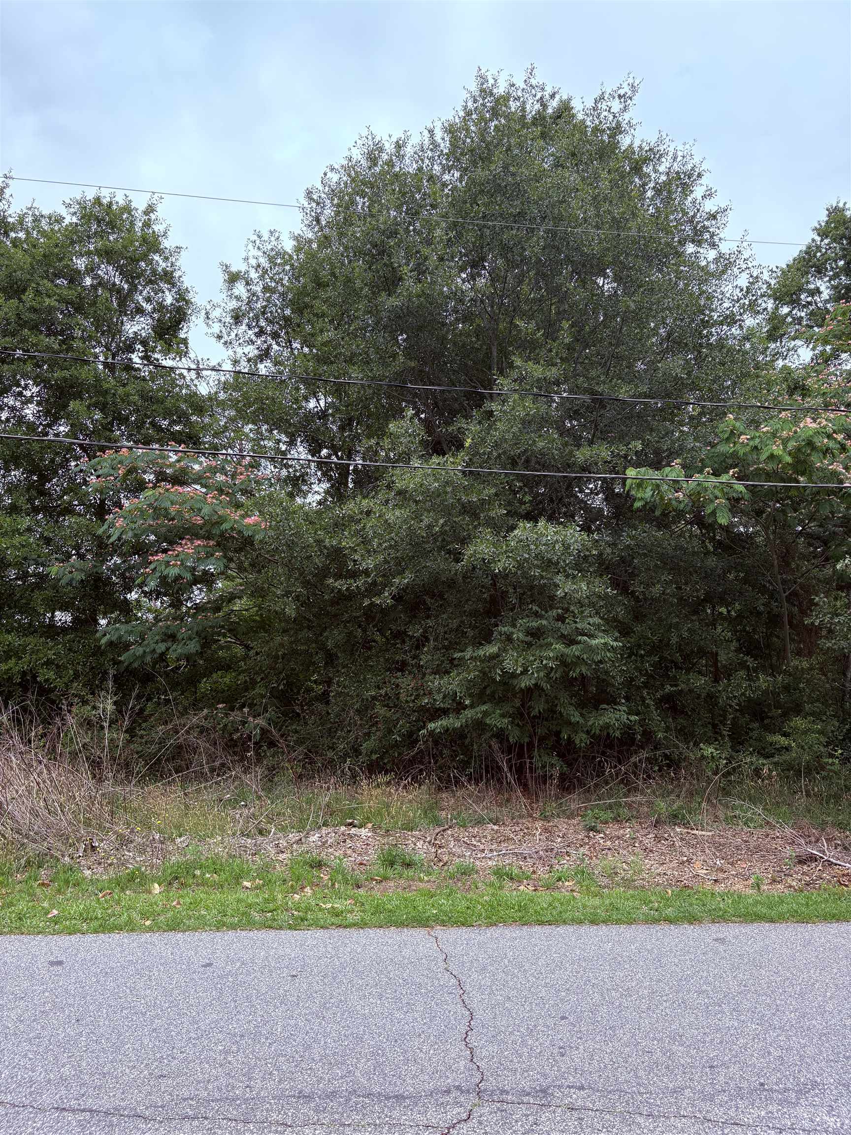 337839 Property Photo 8