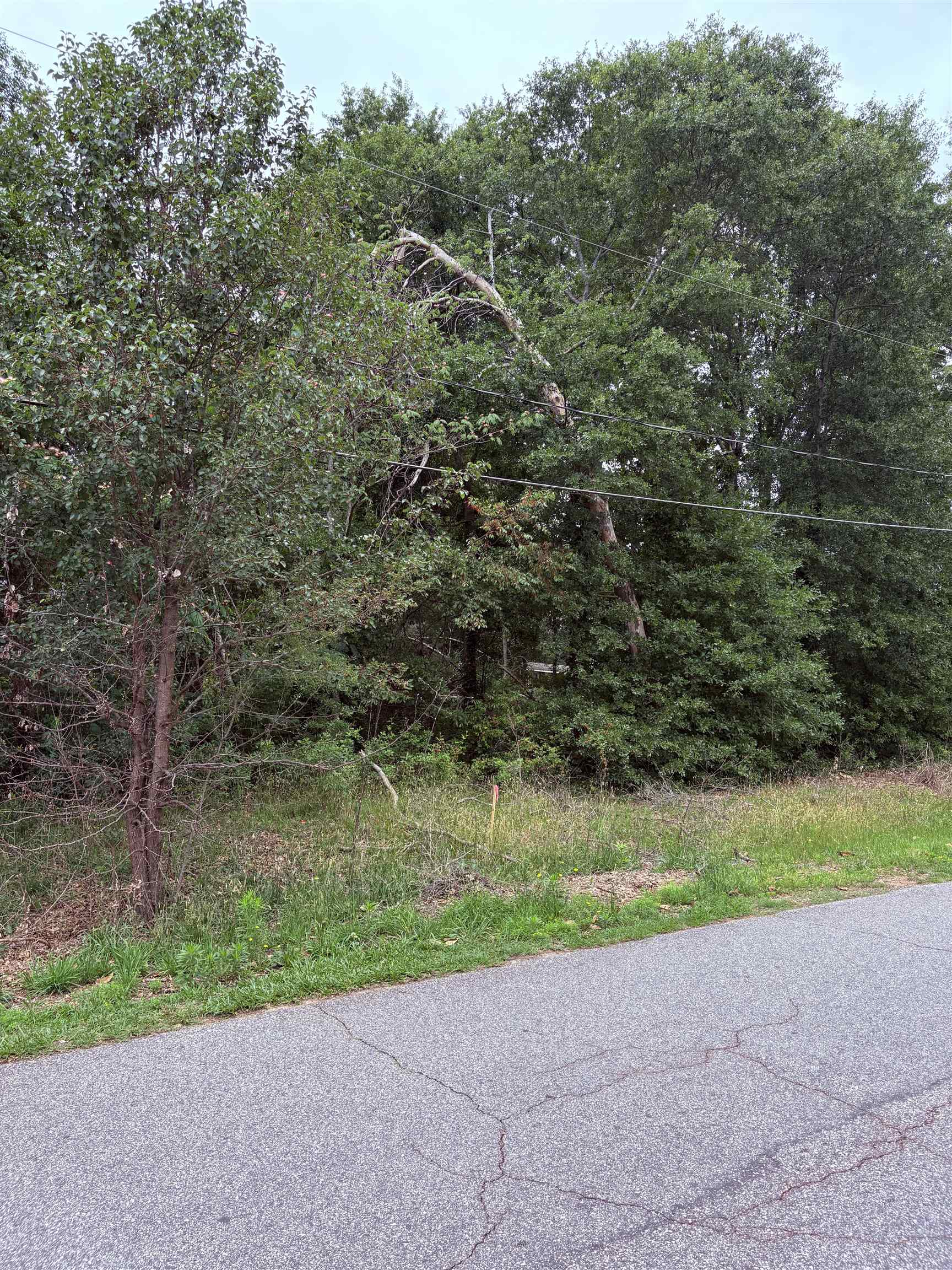 337839 Property Photo 9
