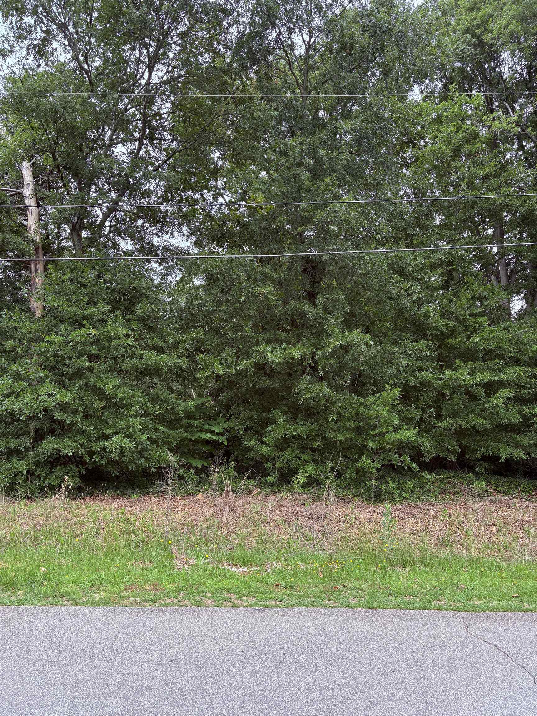 337839 Property Photo 10