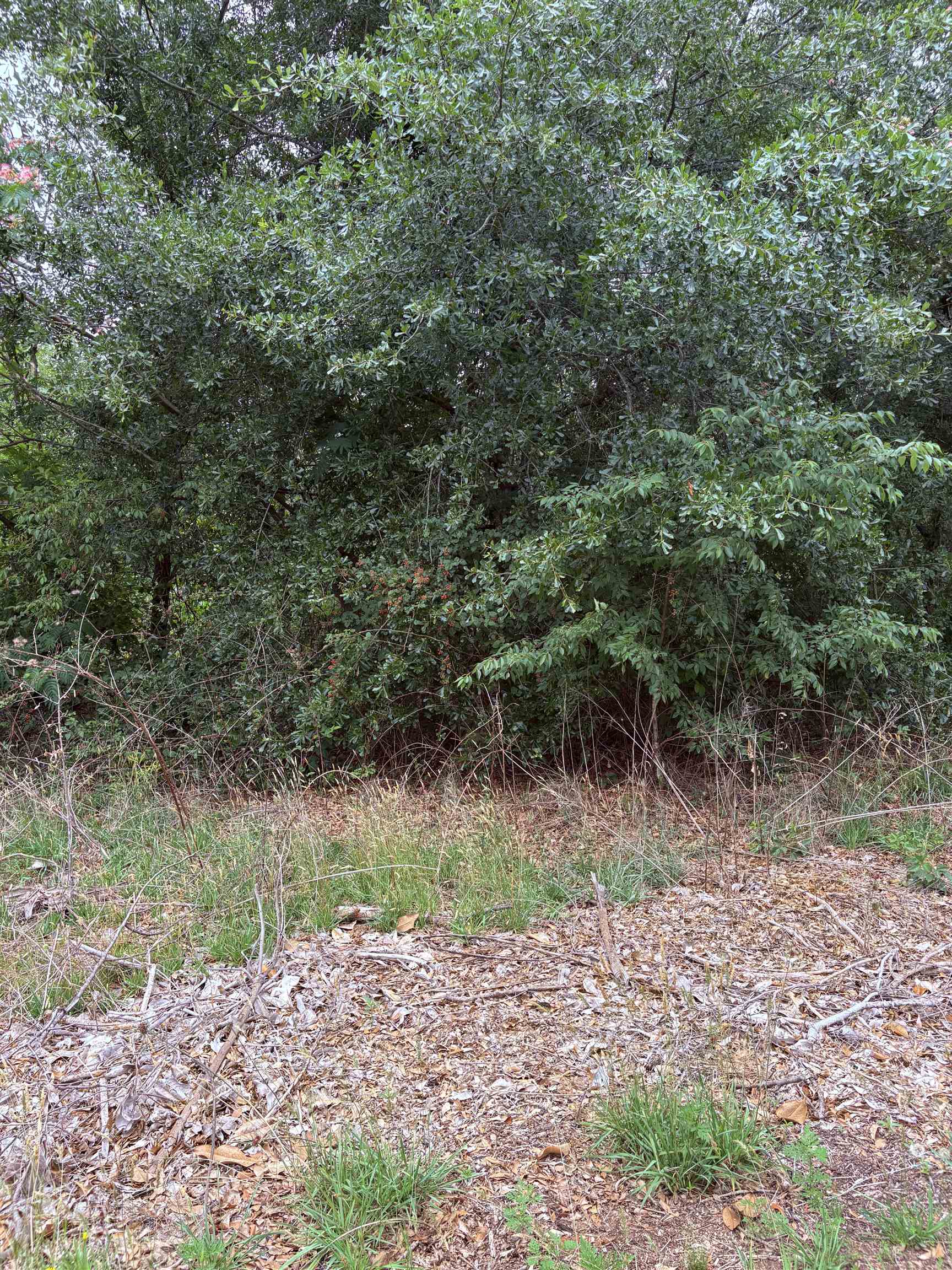 337839 Property Photo 15