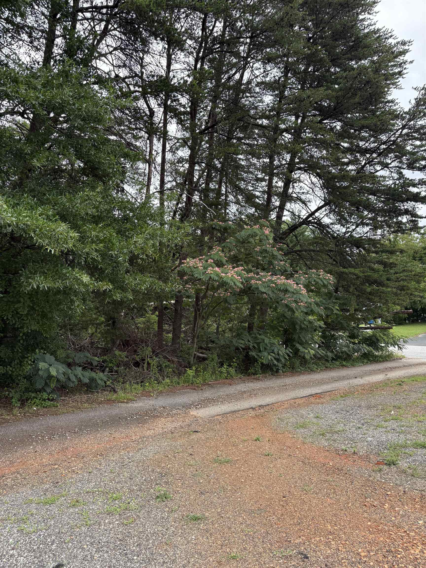 337839 Property Photo 16