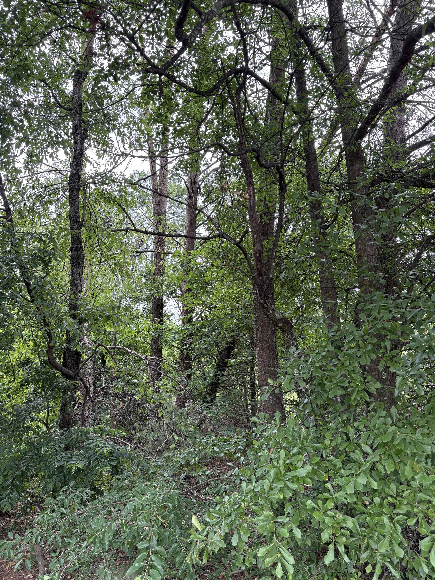 337839 Property Photo 17