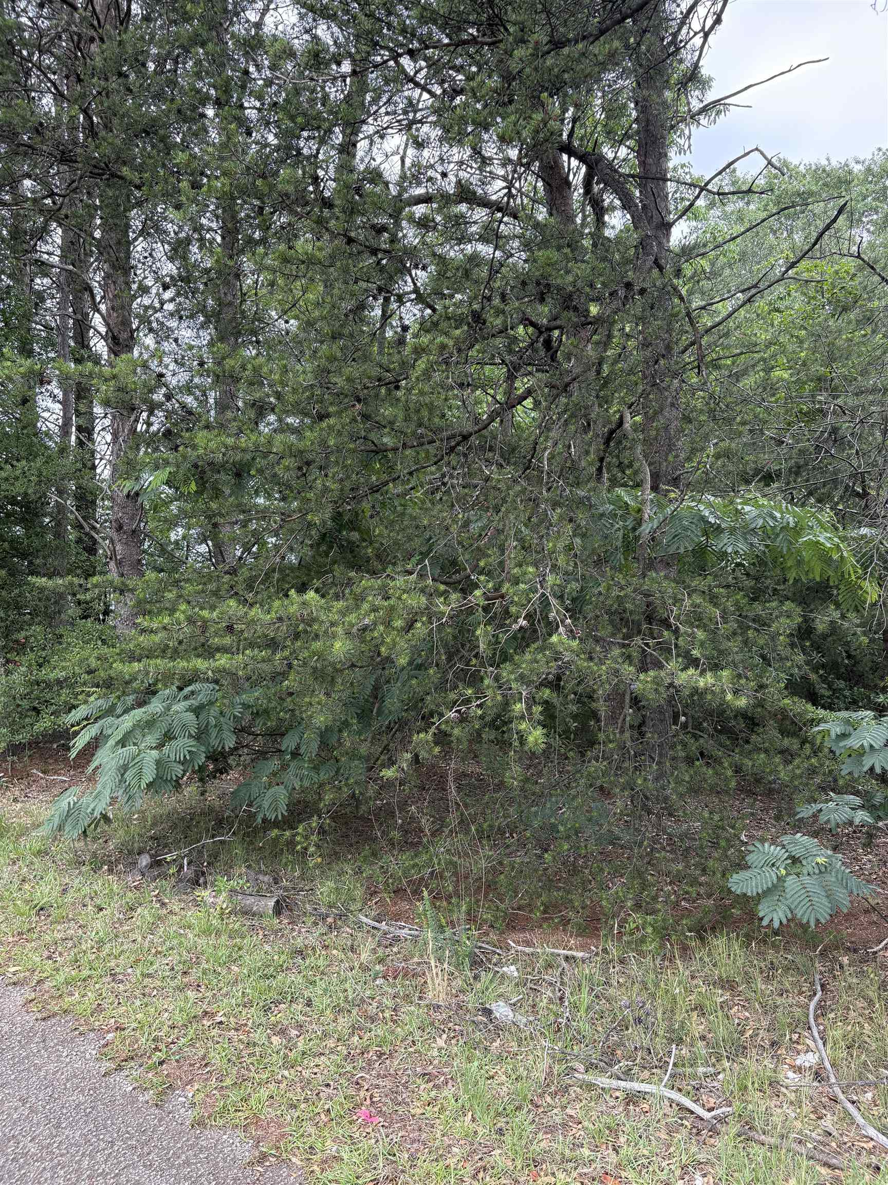 337839 Property Photo 18