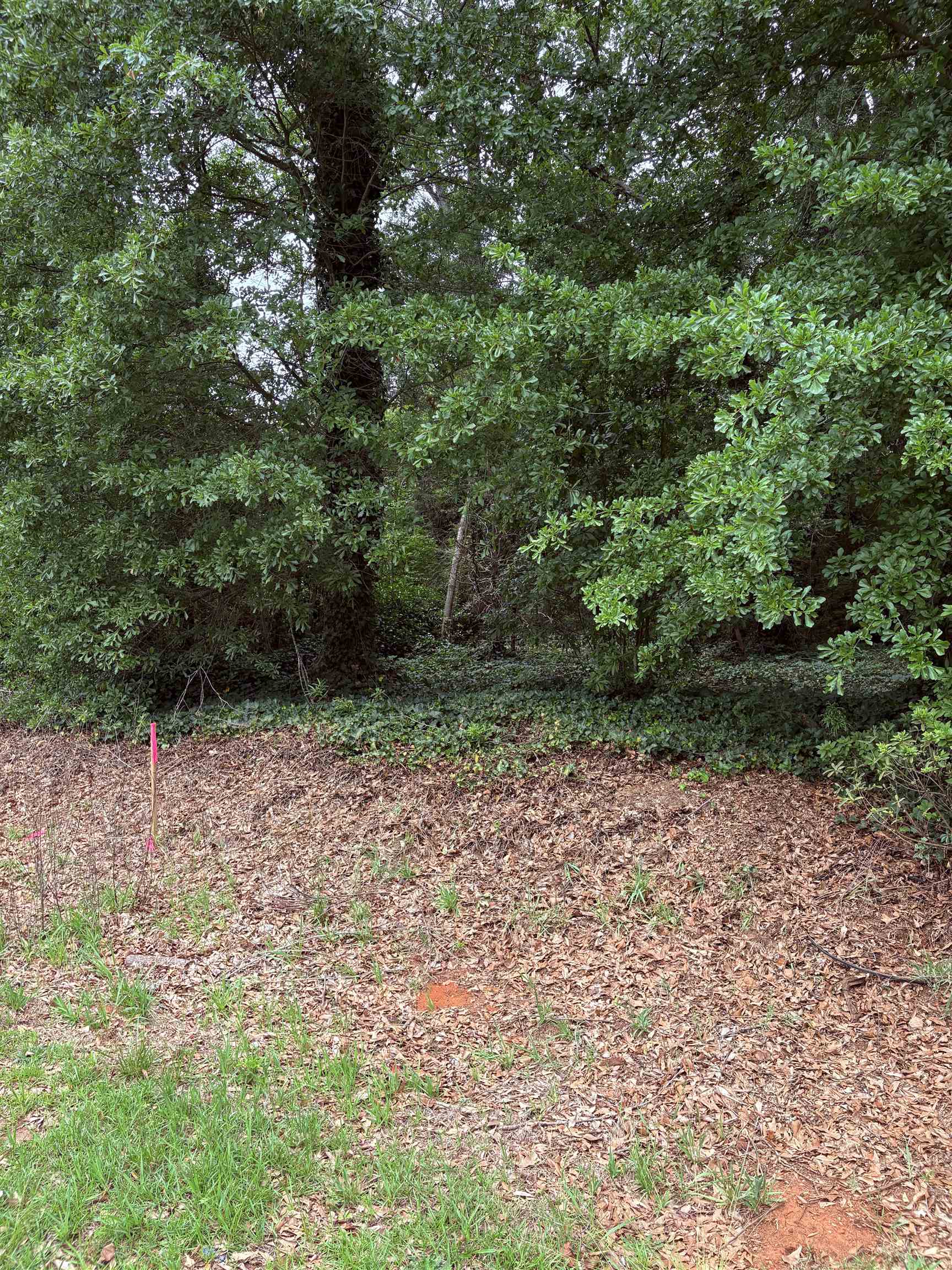 337840 Property Photo 12