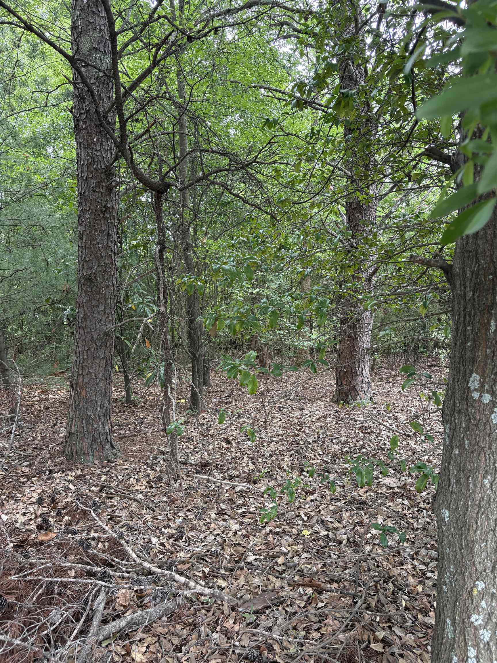 337840 Property Photo 19