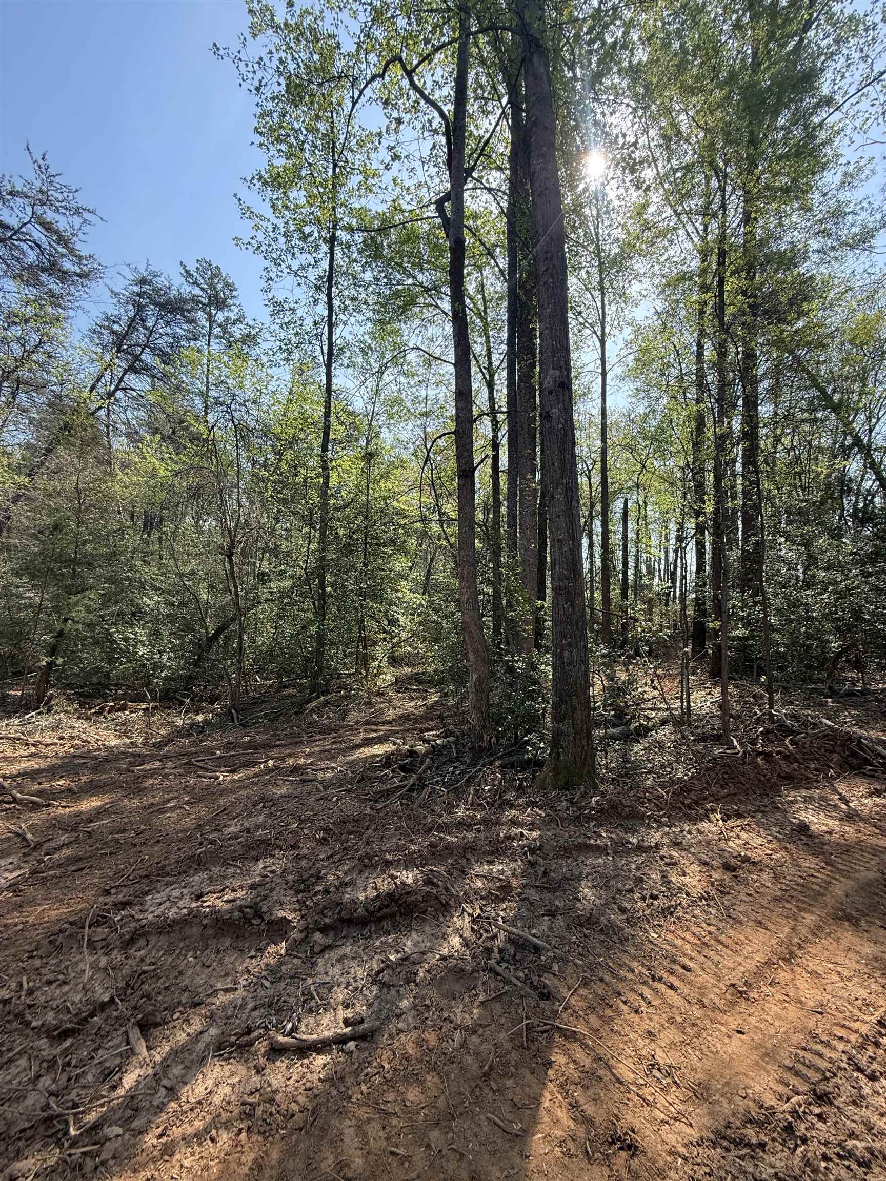 337874 Property Photo 9