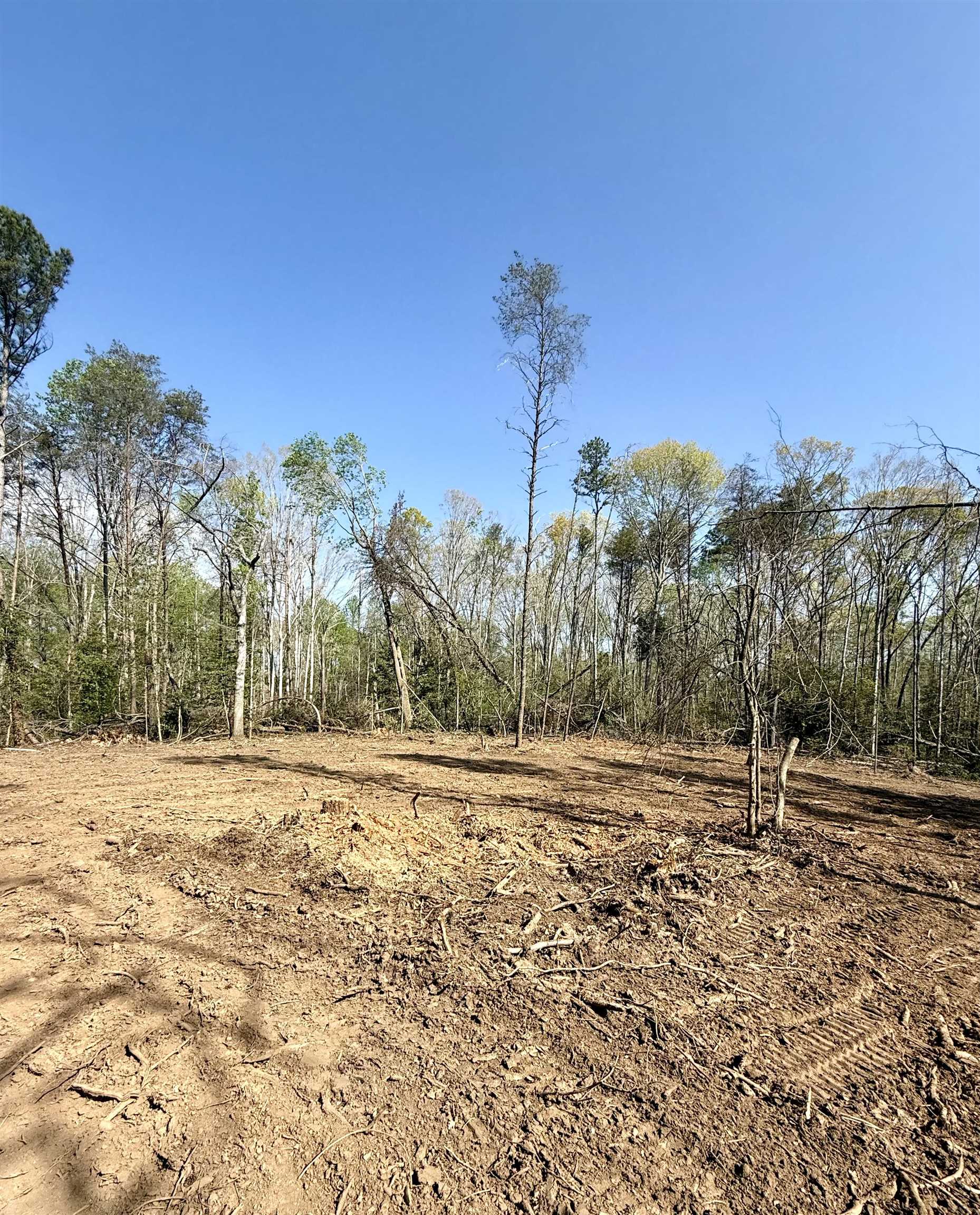 337874 Property Photo 11