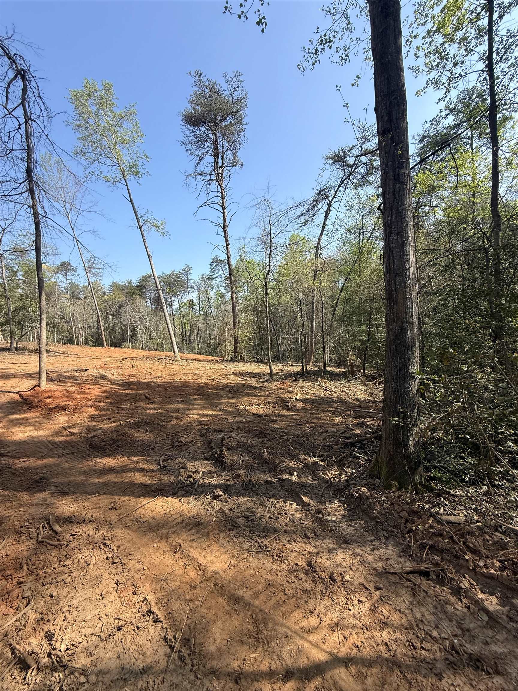 337874 Property Photo 15