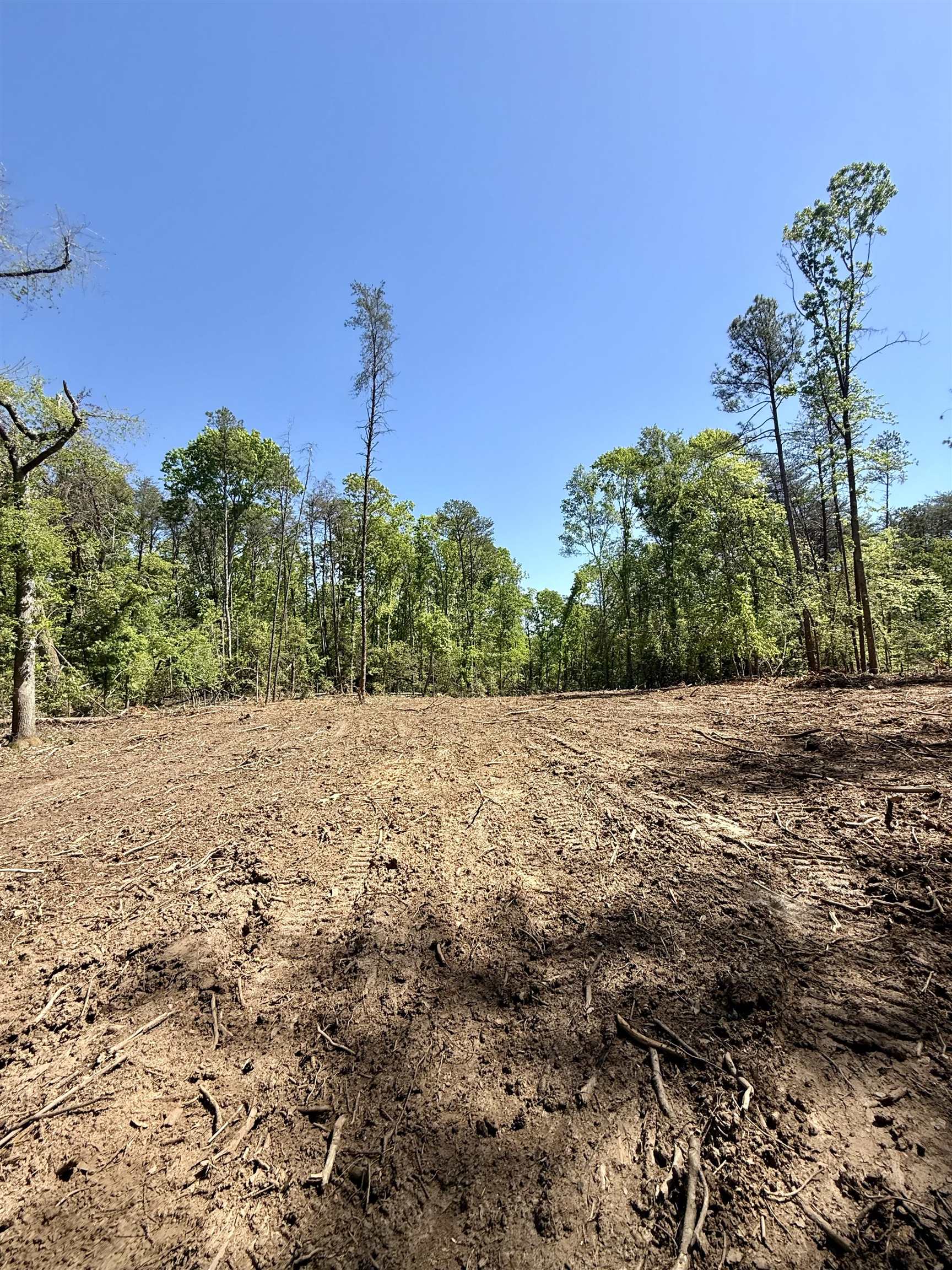 337874 Property Photo 17