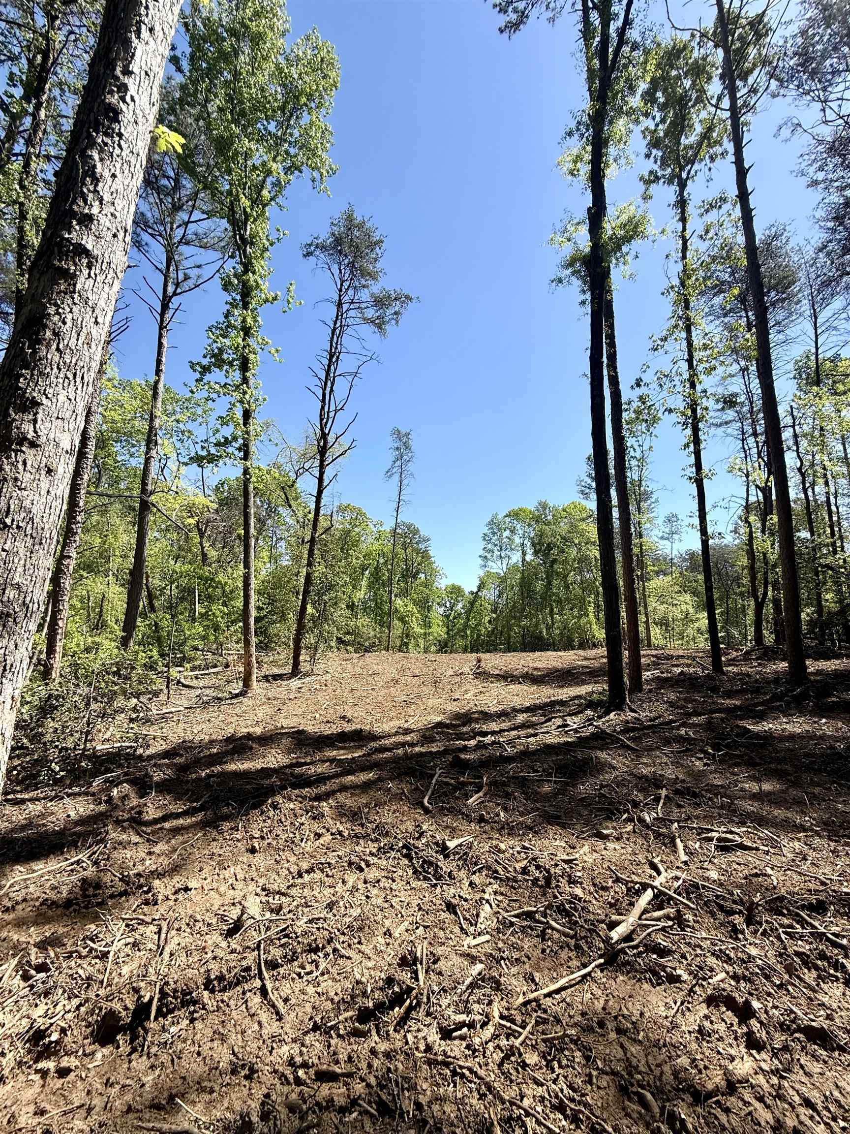337874 Property Photo 18