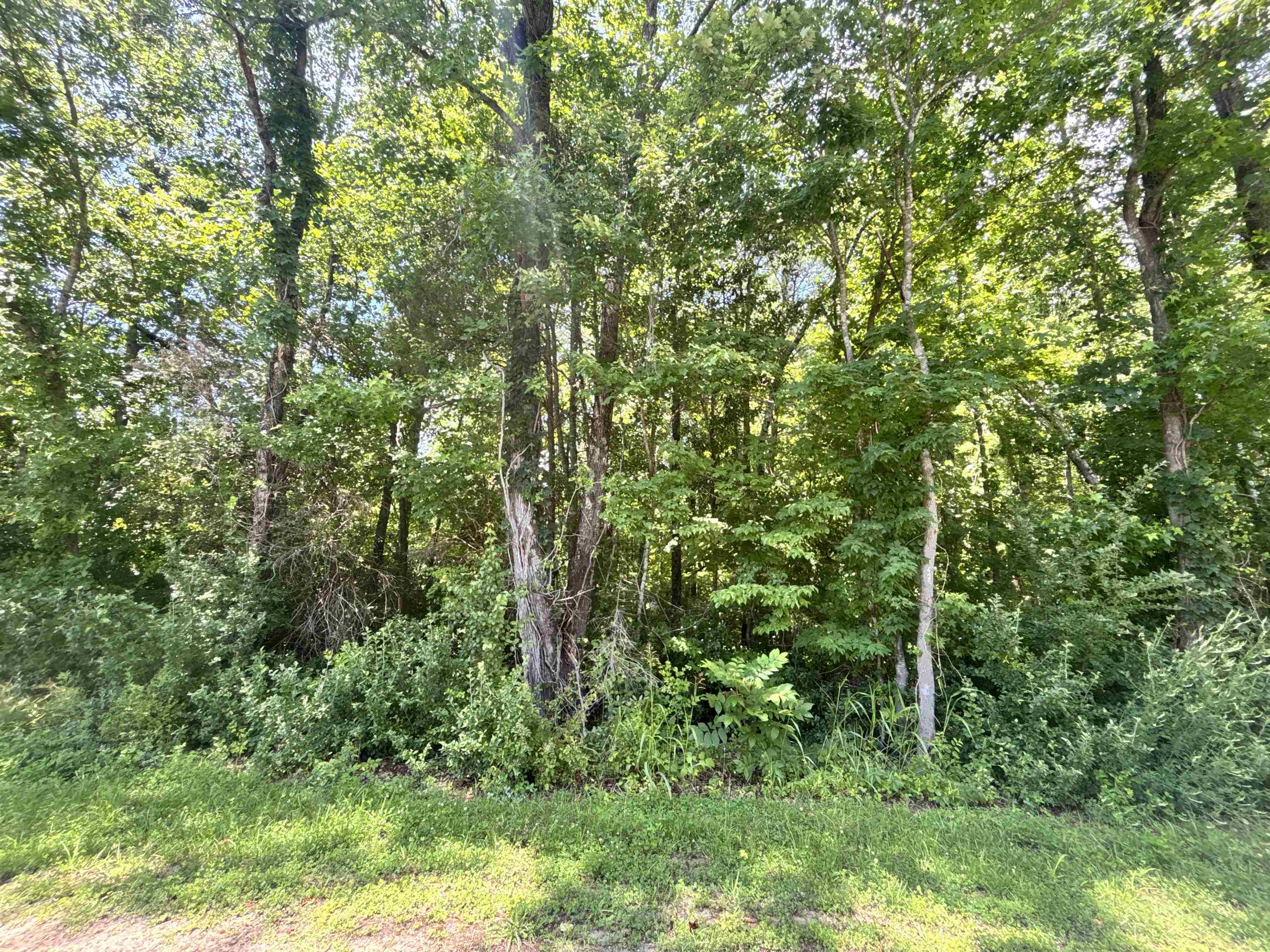 338027 Property Photo 3