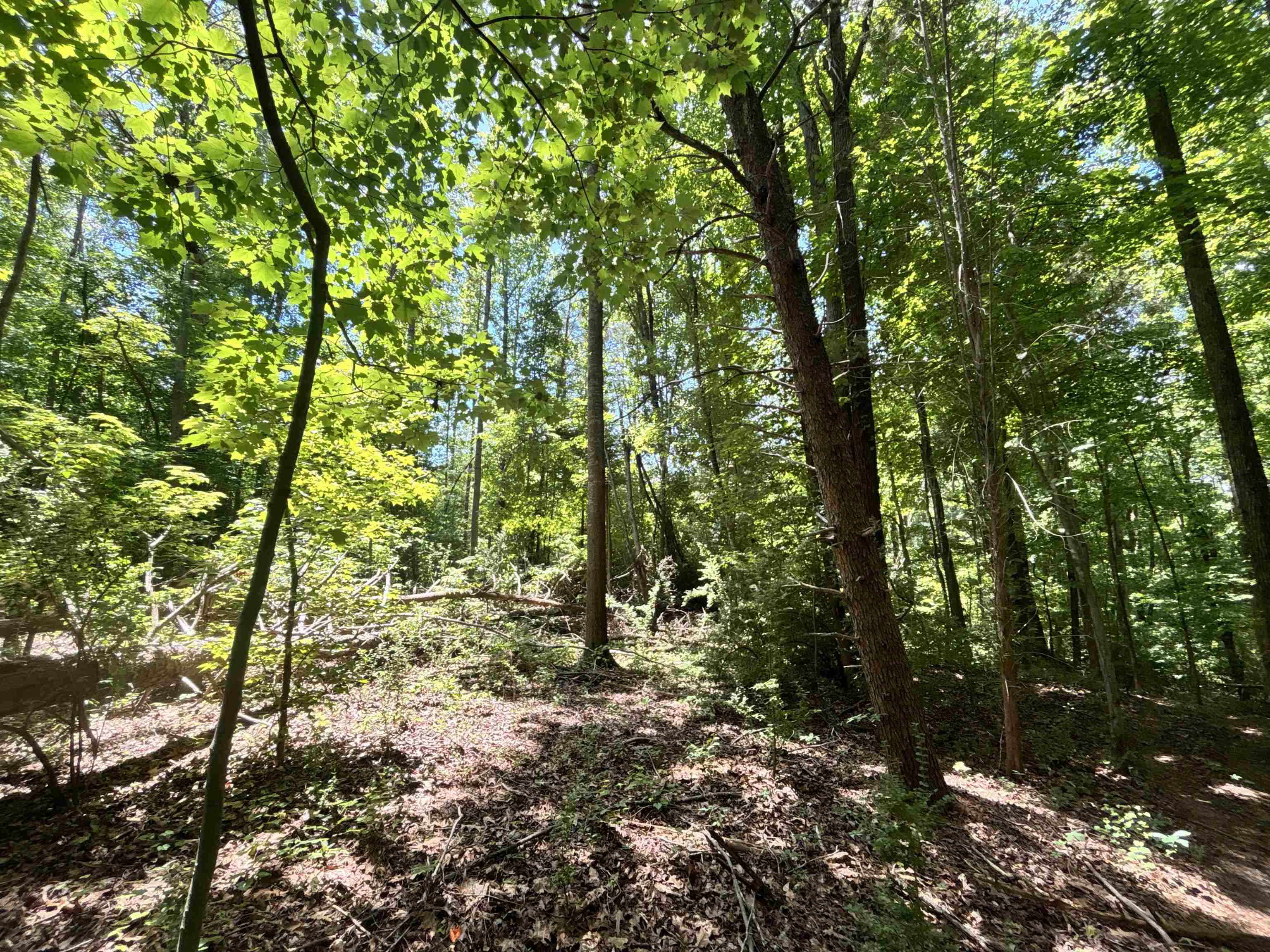 338027 Property Photo 5
