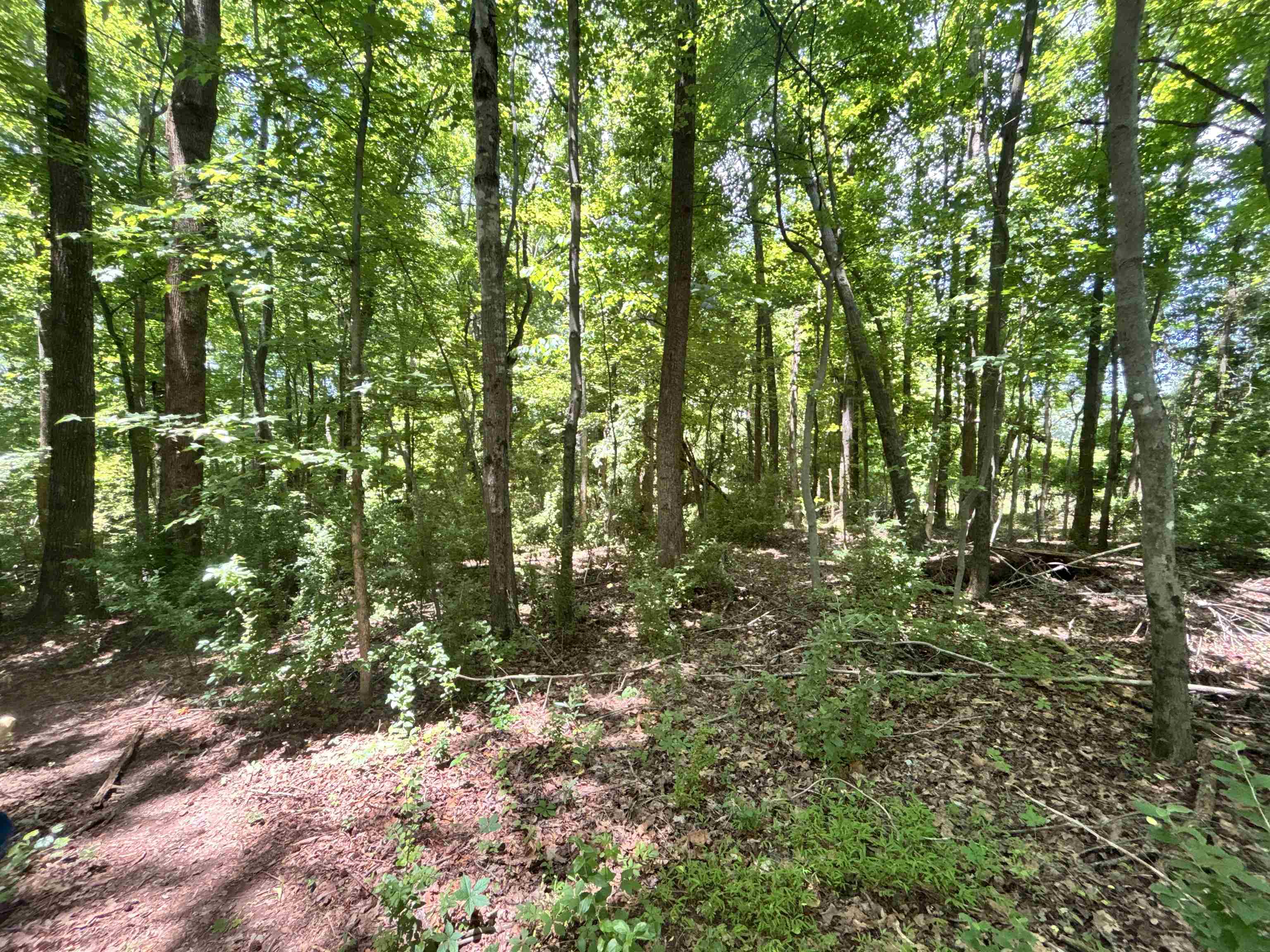 338027 Property Photo 6