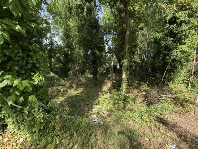 338090 Property Photo 3
