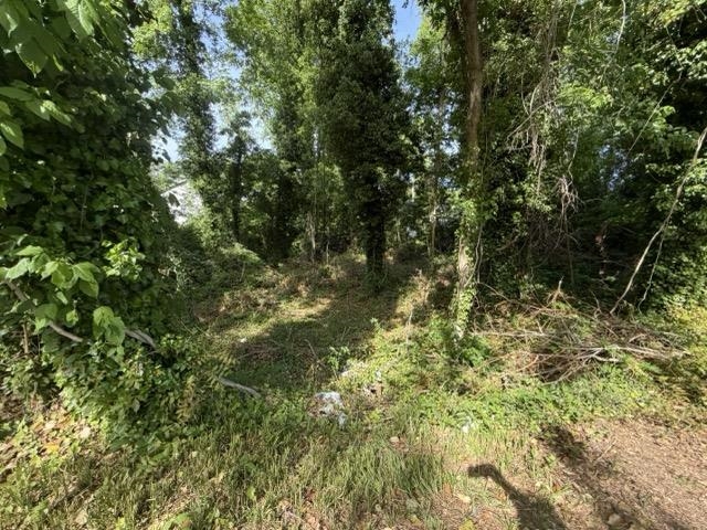 338090 Property Photo 6