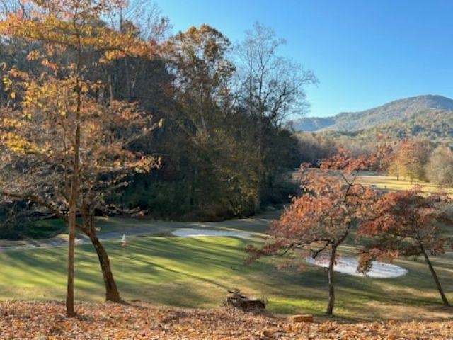 154 Broken Bow Run Property Photo 10