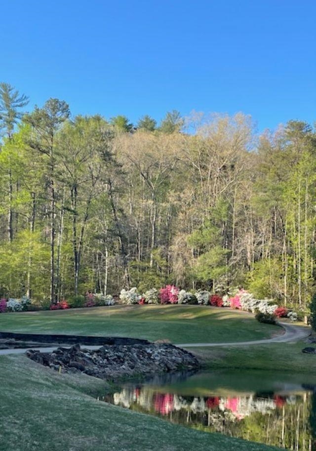 154 Broken Bow Run Property Photo 11