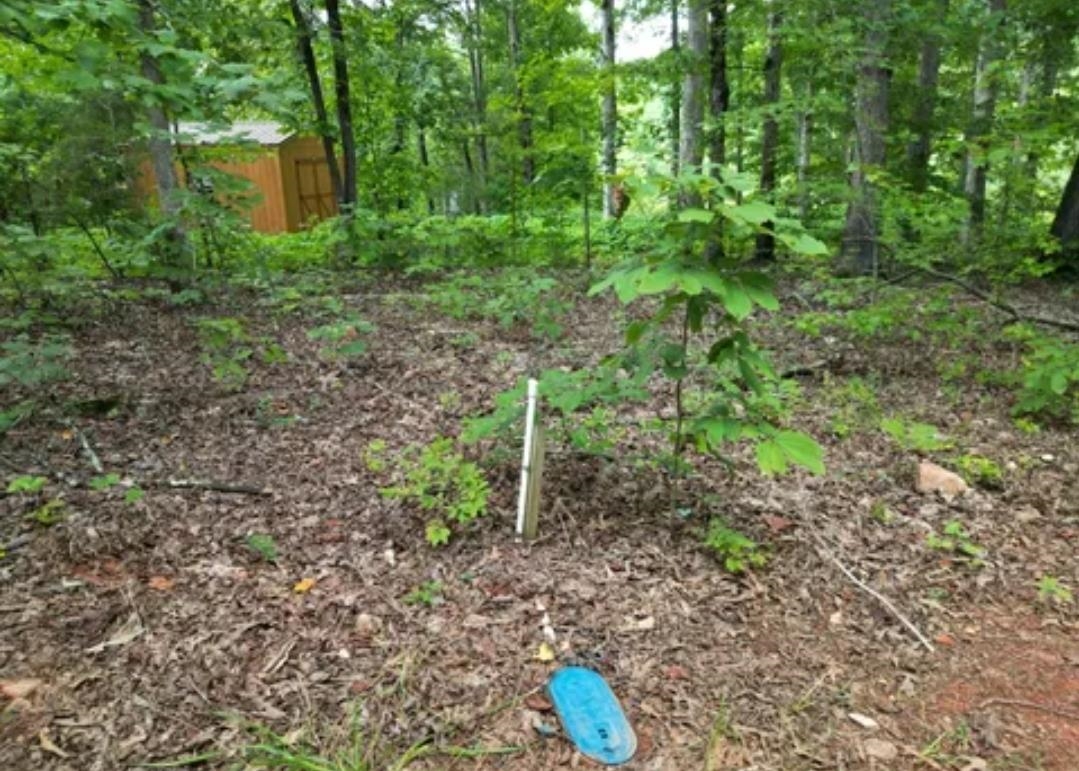 338206 Property Photo 8