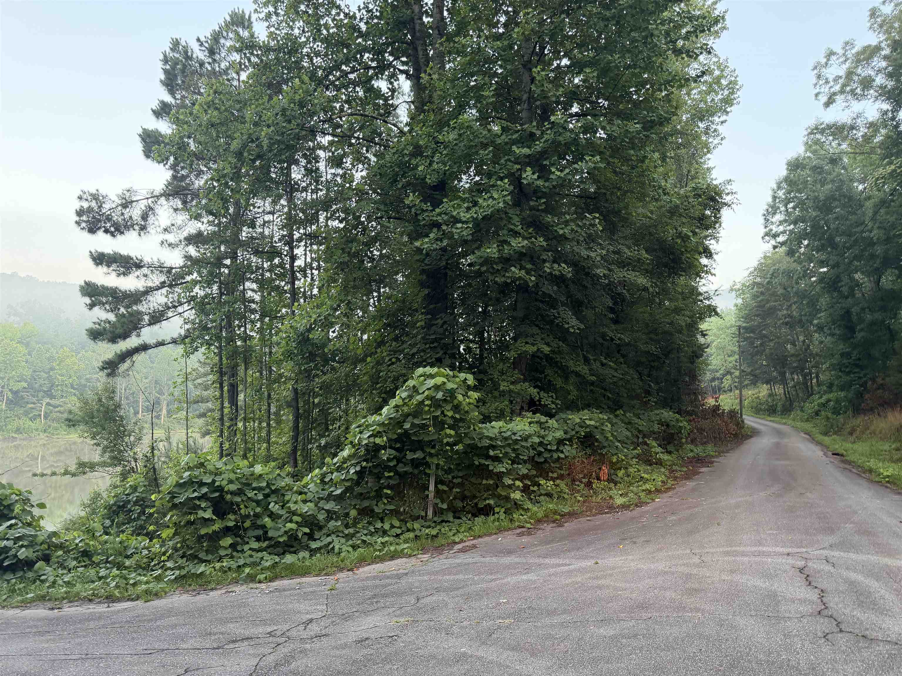 338206 Property Photo 10