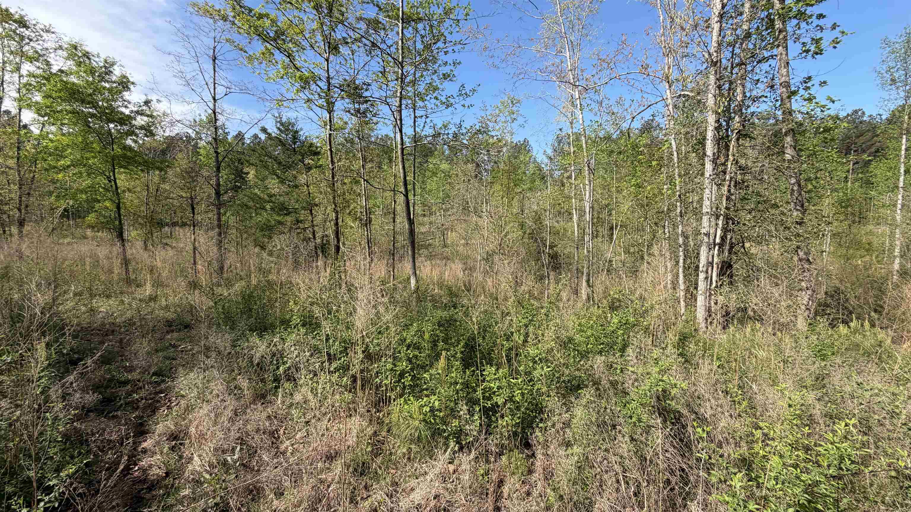338220 Property Photo 8