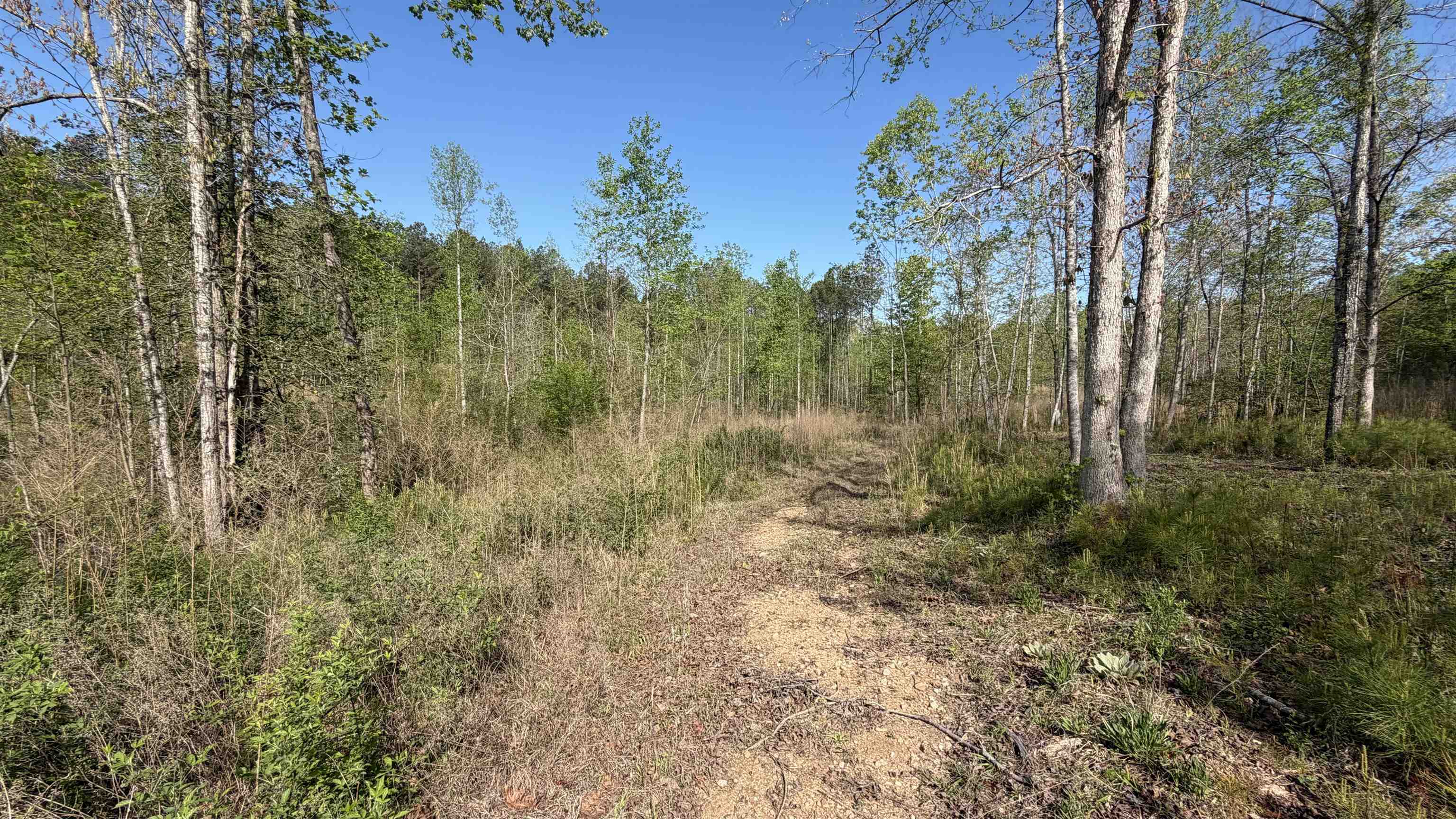338220 Property Photo 9