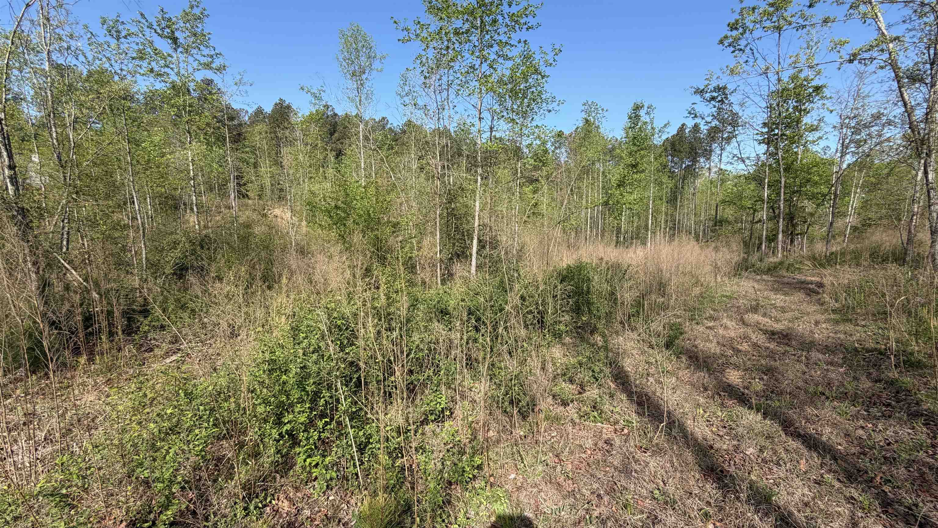 338220 Property Photo 10