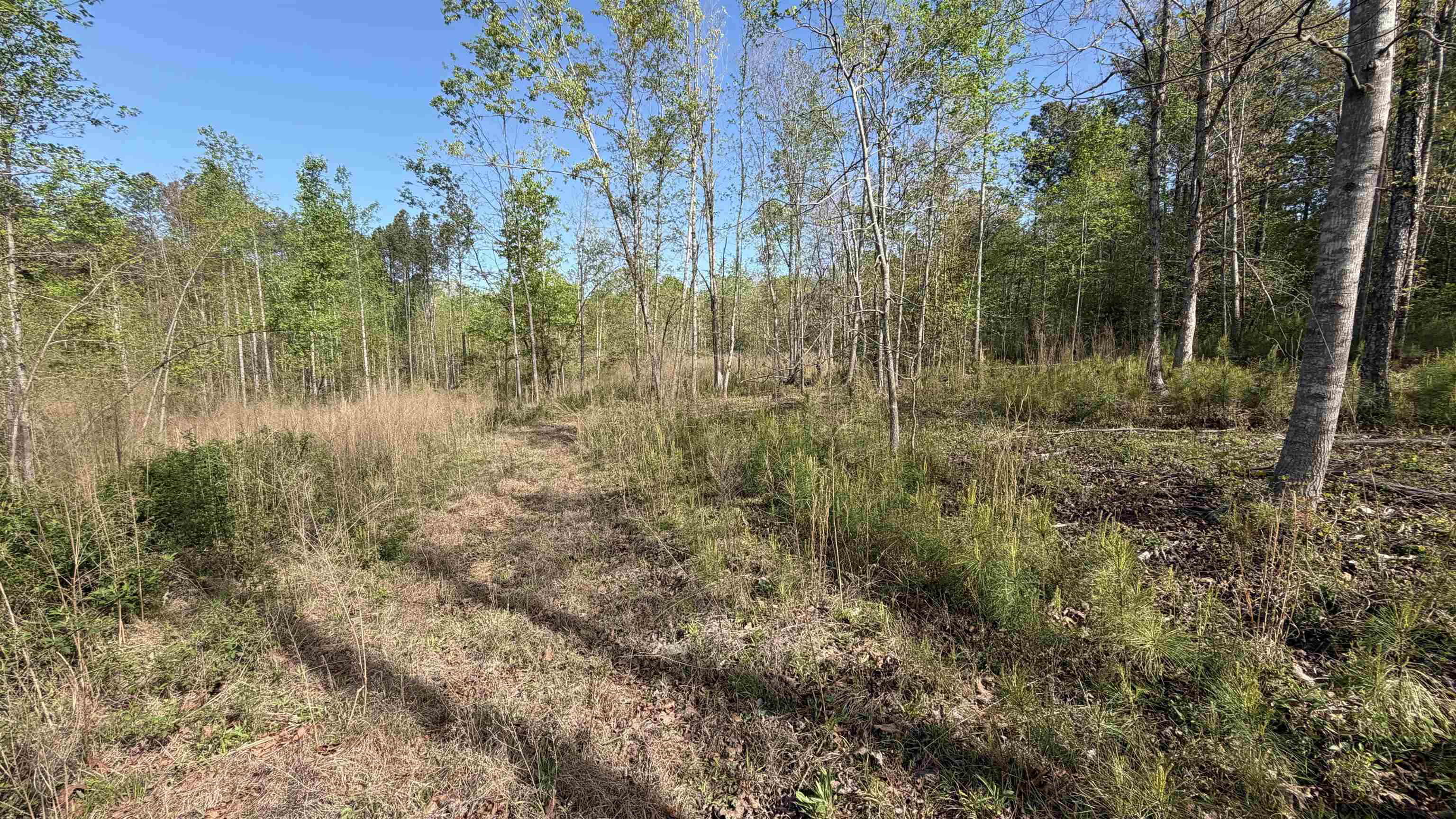 338220 Property Photo 11